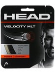 Head Velocity MLT 16/1.30 String Set Natural